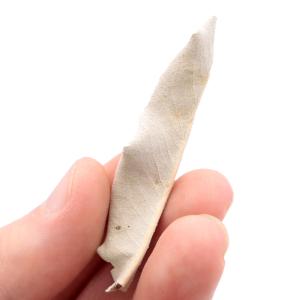 ホワイトセージ 枝無し 選別済み 無農薬 オー...の詳細画像5