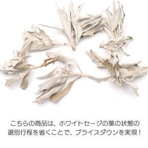 ホワイトセージ 枝付き クラスター 無選別 5...の詳細画像2