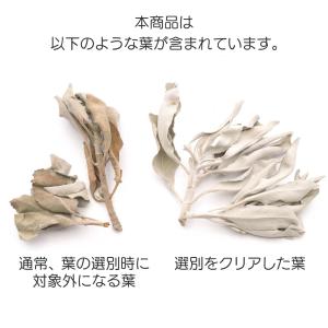 ホワイトセージ 枝付き クラスター 無選別 5...の詳細画像3