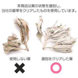 ホワイトセージ 枝付き 選別済み 無農薬 オー...の詳細画像3