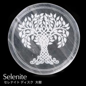 GOLD STONE テラヘルツ鉱石 本物 純度15N ラフ原石 特大1.6kg ピカピカ