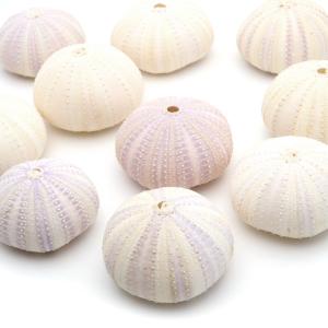 GOLD STONE ロッククリスタル 水晶 AAA 40-70g ブラジル ミナス