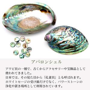 パウアシェル ビーズ 粒売り 1粒 ラウンドカ...の詳細画像1