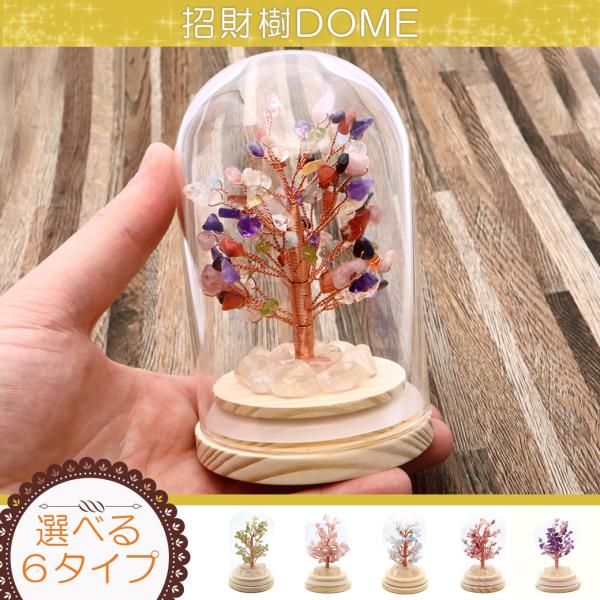 招財樹 ドーム型 風水置物 インテリア 金運祈願 開運 商売繁盛祈願 6色から選べる 敬老の日 贈り...