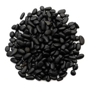 シュンガイト さざれ石 本物 チップ 小サイズ 100g シュンガ石 カレリア共和国産 フラーレン炭素 Shungite 天然石 パワーストーン 浄化グッズ 電磁波対策 爆買