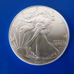 2025年9月】銀貨 1オンス（コレクション、趣味）（セット/単品