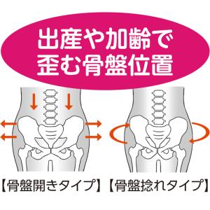 骨盤臓器脱サポーター メディカル・テイキン 一...の詳細画像2