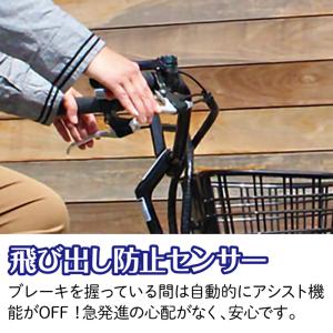 電動アシスト三輪自転車 ロータイプ 18インチ...の詳細画像2