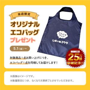限定エコバッグ付 しばいぬコウタ バンダナ付き...の詳細画像1