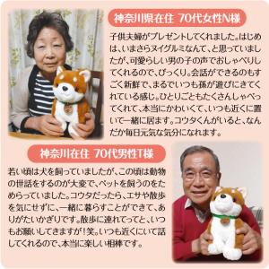 限定エコバッグ付 しばいぬコウタ バンダナ付き...の詳細画像5