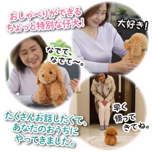 おしゃべりトイプードル しゃべる犬 ぬいぐるみ...の詳細画像2