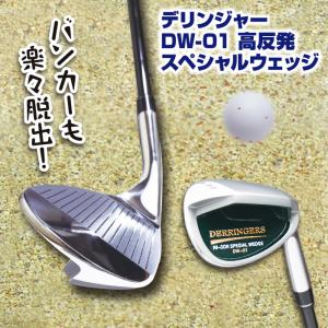 両面パター 全長87cm｜ゴルフ 銀製 : HIKARI GALLERYヤフー店 - 通販