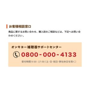 ONKYO 補聴器 OHS-D21 両耳 セッ...の詳細画像5
