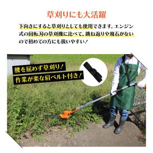 ヤードフォース 12Vコードレス2WAYバリカ...の詳細画像2