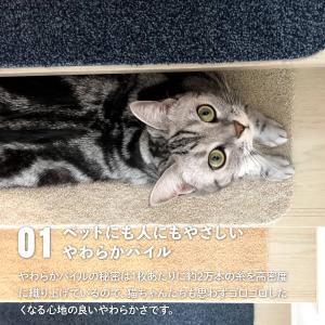 ラグタス 階段マット 滑り止め おしゃれ 5枚...の詳細画像2
