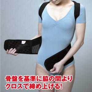 背筋矯正ベルト 薄型 骨盤 腰 猫背 姿勢 補...の詳細画像4
