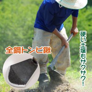 浅野木工所 浅野式 土起こし君 スチール 35255 送料無料 家庭農園 農業