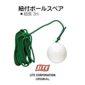ゴルフレーヴ REVE FOCUS STICK パター 練習器具 フォーカス