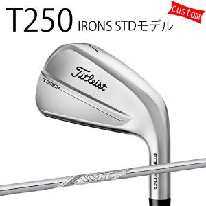 Titleist（タイトリスト） カスタム TITLEIST T250アイアン STDモデル