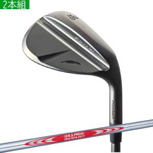 カスタム 2本組 フォーティーン ウェッジ ニッケルクロムメッキ ガンブラック RM-α　FOURTEEN GOLF N.S.PRO MODUS3 TOUR120 モーダス3 ツアー120 日本シャフト｜golf-magazzino