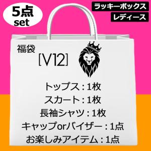 超お買い得の5点set V12 ゴルフ レディー...の商品画像