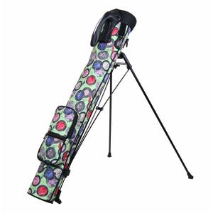 MIZUNO（ミズノ） (NEW/限定品)ミズノ BR-DX スタンドバッグ