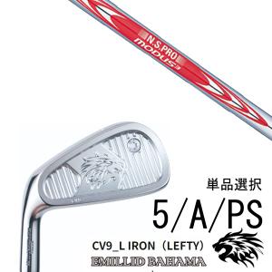 MIZUNO（ミズノ） ミズノプロ 221 アイアン 単品(No.3、No.4) (Dynamic