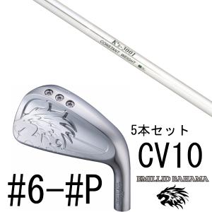TaylorMade（テーラーメイド） ステルス グローレ ウィメンズ アイアン