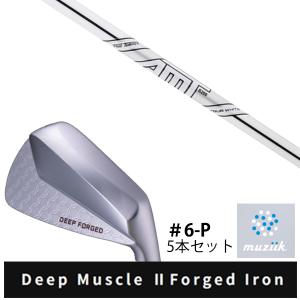 muziik（ムジーク） Turfrider Diamond Forged II Iron ターフライダー
