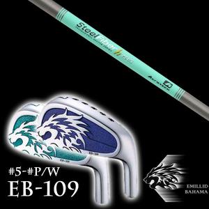 TaylorMade（テーラーメイド） RBZ SPEEDLITE クラブセット 10本組 (1w 