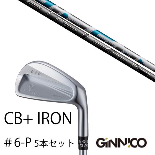 5本セット / イオンスポーツ ジニコ GINNICO CB+ Iron #6-P  /  エアース...