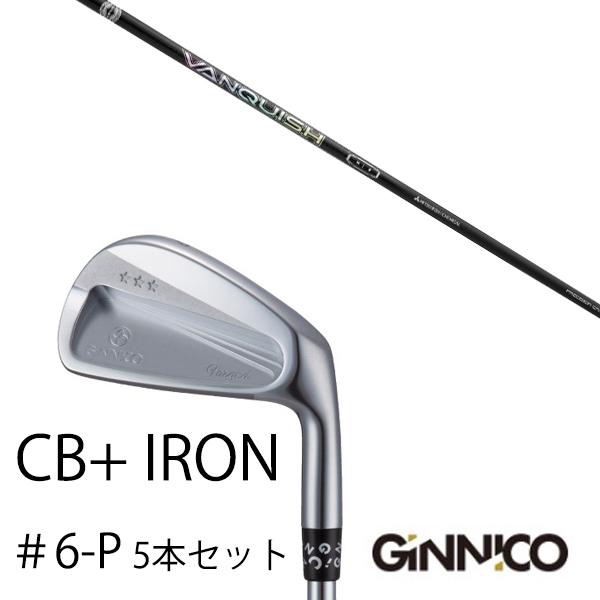 5本セット / イオンスポーツ ジニコ GINNICO CB+ Iron #6-P / バンキッシュ...