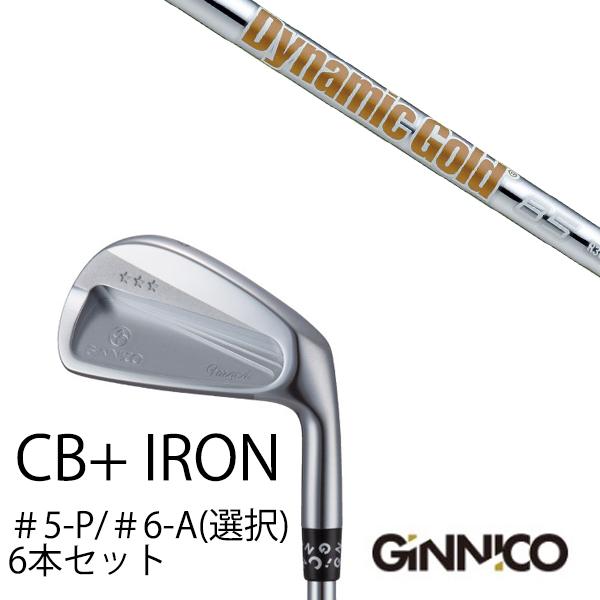 6本セット / イオンスポーツ ジニコ GINNICO CB+ Iron #5-P ＃6-A 番手選...