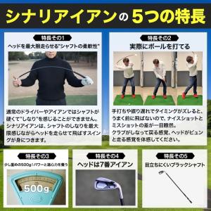 シナリアイアン ゴルフ 練習器具 ぐにゃぐにゃ...の詳細画像3