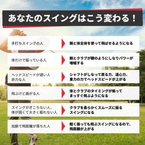 シナリアイアン ゴルフ 練習器具 ぐにゃぐにゃ...の詳細画像5