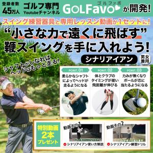 シナリアイアン ゴルフ 練習器具 ぐにゃぐにゃ...の詳細画像2