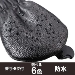 【メール便配送無料】【バラ売】カラフル ドライ...の詳細画像3