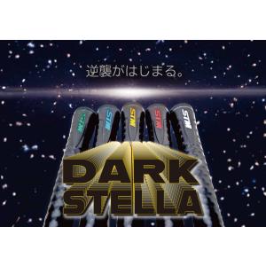 エスティーエム STM ダークステラ DARK...の詳細画像1