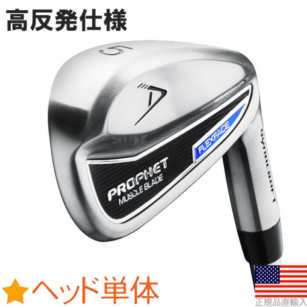 ゴルフ パーツ アイアン ヘッド 単品 ダイナクラフト プロフェット マッスル 中空タイプ アイアン...