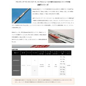 シャフト アイアン用 トゥルーテンパー AMT...の詳細画像1