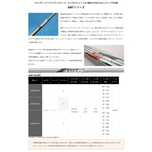 シャフト アイアン用 トゥルーテンパー AMT...の詳細画像1