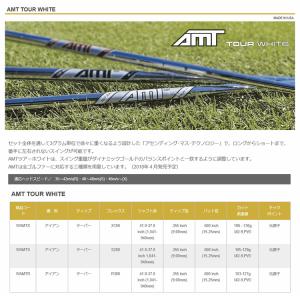 シャフト アイアン用 トゥルーテンパー AMT...の詳細画像1