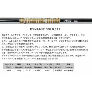 トゥルーテンパー ダイナミックゴールド 115...の詳細画像1