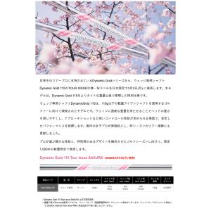 【1,000本限定販売】トゥルーテンパー ダイ...の詳細画像1