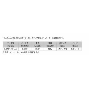 シャフト パター用 トゥルーテンパー スチール...の詳細画像1