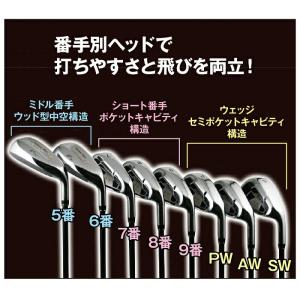 アイアンセット 番手別ヘッド構造 飛距離UP ...の詳細画像2