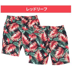【在庫限り】フィラ ゴルフウェア メンズ パン...の詳細画像5