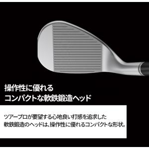 PING ピン GLIDE FORGED PR...の詳細画像5