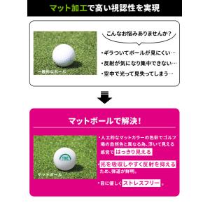 飛衛門 ゴルフ ボール マットカラー 1ダース...の詳細画像5