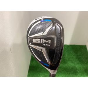 TaylorMade（テーラーメイド） 【USモデル／±2°用】 スリーブ付き